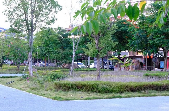 06.jpg