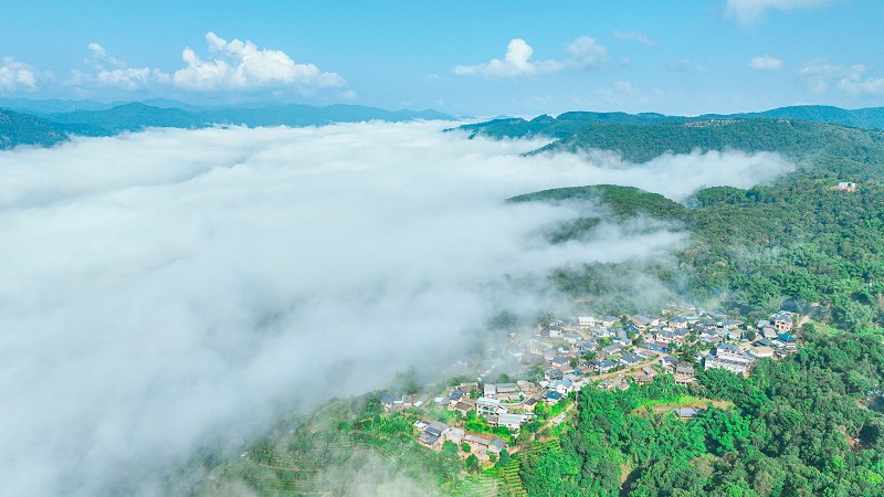 云海下的芒云村芒云老寨.jpg